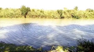 Старая Кубань