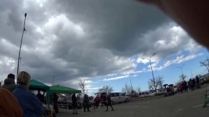 В парке побывали на выставке собак .