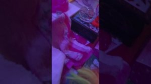 47 серия дети