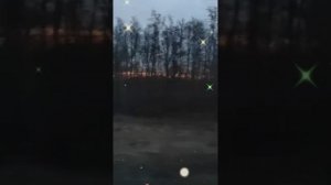 и снова дорога домой!!!