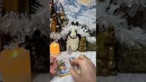 Виктория Романовна в прямом эфире!Информация с потока!💓