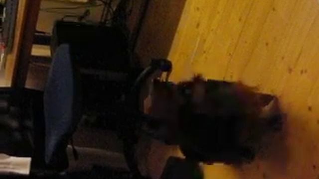 Benjamín-povely смотреть онлайн