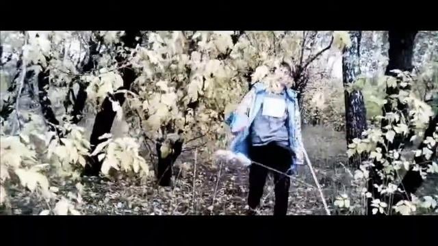 Дикий например (пародия на пародию)