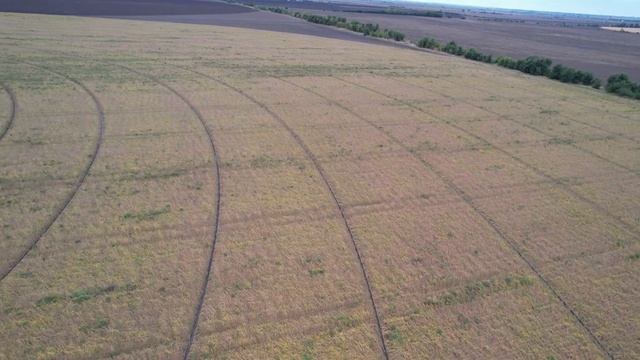 Универсал соя 14 46нс. смотреть онлайн