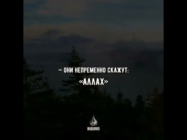 КРАСИВОЕ ЧТЕНИЕ КОРАНА 95