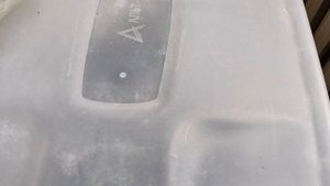 Черенкование почкой. 13.04.2025г.