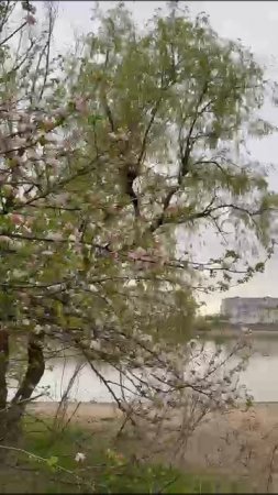 прогулки в Краснодаре