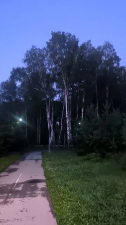 Вечер в парке