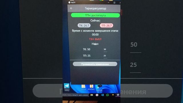 Терморегулятор для коптилен VasDV