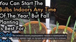 С готовыми примерами для копирования и вставки