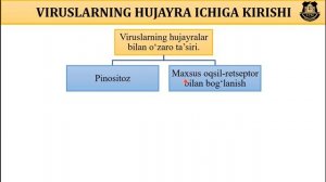 9-sinf.3-mavzu. Hayotning hujayrasiz shakllari - VIRUSLAR II Ҳаётнинг ҳужайрасиз шакллари - ВИРУСЛА