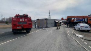 Фура со свиньями перевернулась в Томской области