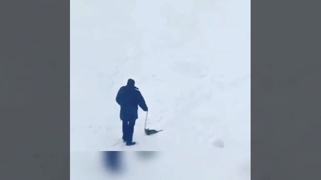 Житель Норильска выгуливает кота ,что-бы не получить штраф. смотреть онлайн