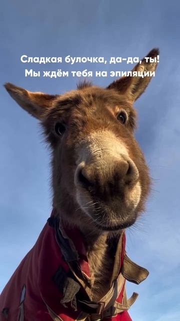 Очень ждём