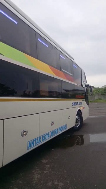 Sinar Jaya Dream Coach terbaru 55 VX Roling Malang - Pondok Cabe 2 #malamtakbiran #sinarjaya