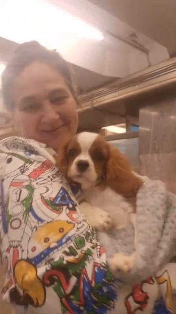 ФотоПриветик 🐶 из семьи 🏡
Мальчик ККЧС Алена Ветлугина нашёл свою семью ♥️ и уехал жить в СПБ.