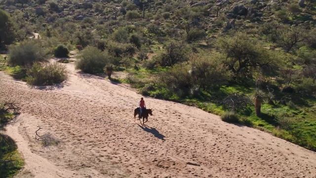 Training Tip: Teach Your Hot Horse to Lope Slowly смотреть онлайн