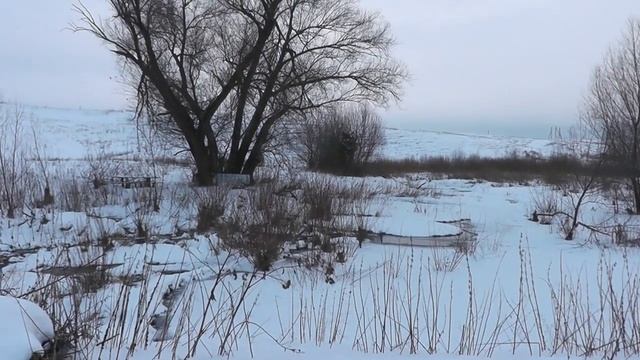 Коротко из жизни деревни