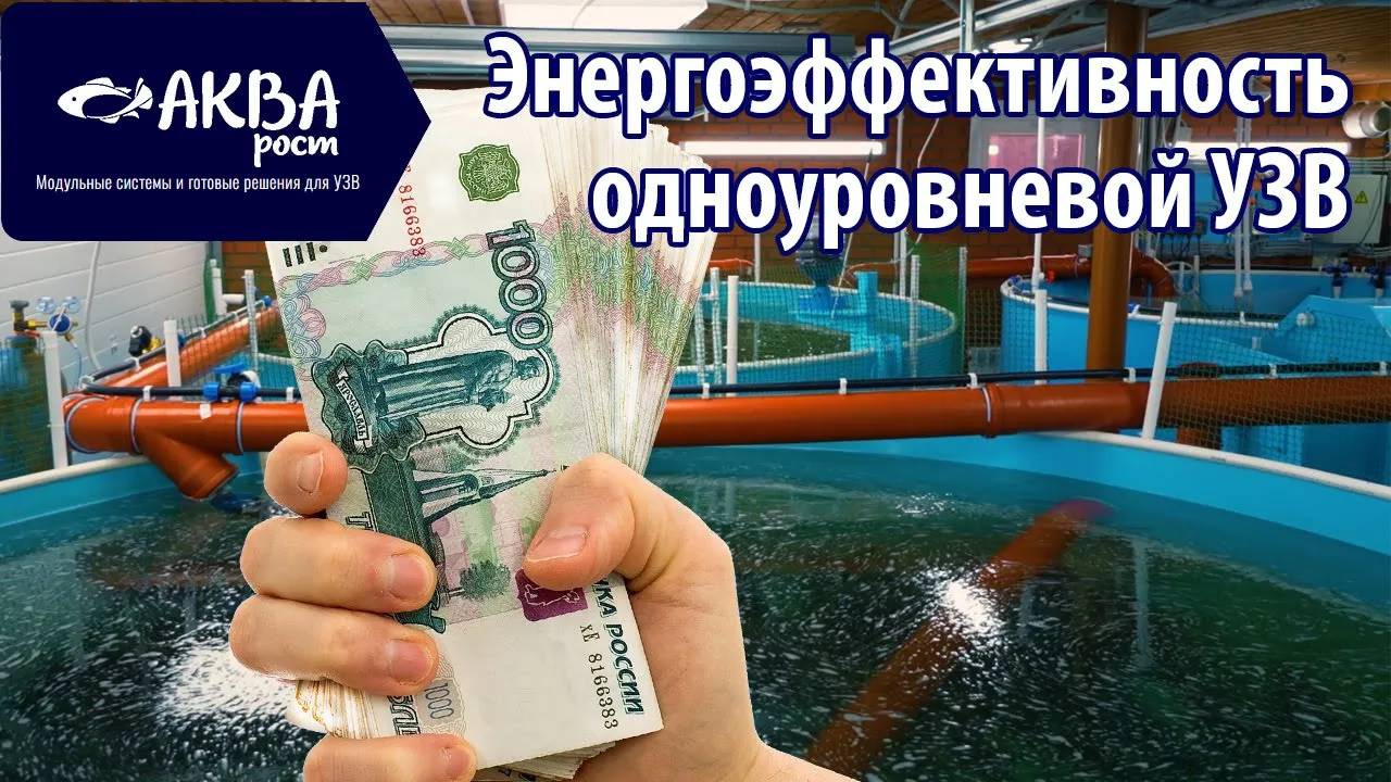 Энергоэффективность одноуровневой УЗВ #рыбоводство #узв #разведениерыбы #романакварост