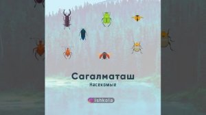 1алам   природа