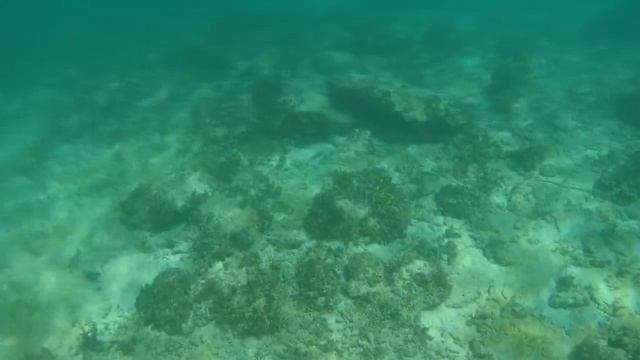 Пляжи боракая январь 2018 г. смотреть онлайн