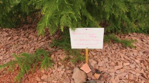 Видео с экологического десанта