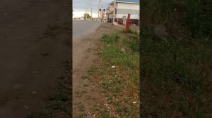 ЖД ПЕРЕЕЗД ЗАКРЫЛИ 2 РАЗА 3 ГРУЗОВЫХ ПОЕЗДОВ!