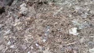 Поехал за стариной,а затарился металлом!.mp4