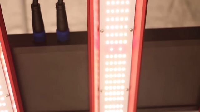 720W  LED Grow Light || Indoor Plant Grow Light || Greenhouse Grow Light || VANQ LED