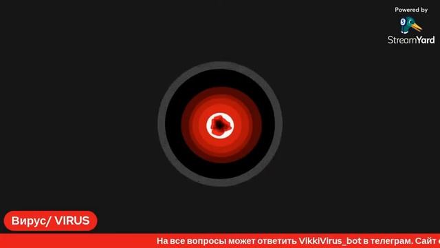 Сказка: Панда
