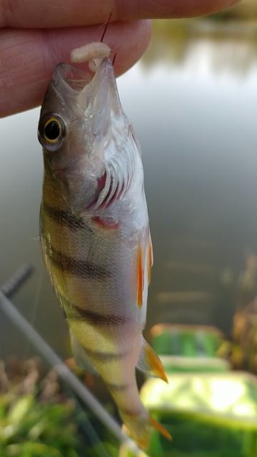 VID_20241006_102139 смотреть онлайн