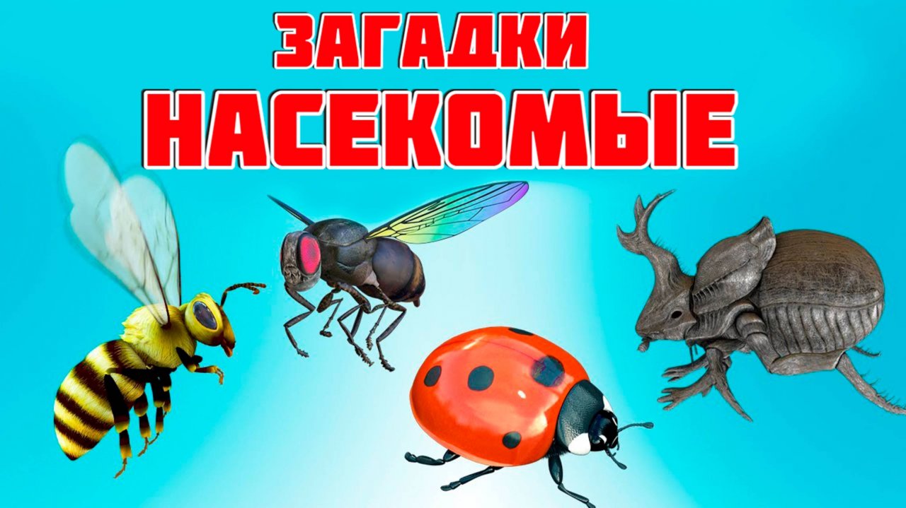 Загадки про Насекомых 🐜 Для детей 🐝 Учим насекомых 🐞 Развивающие мультики