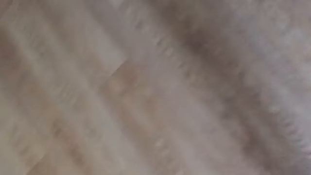 Фильм (Бешеная лапа 2 🐾) смотреть онлайн