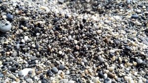 НА ПЛЯЖЕ ОТЕЛЯ May Garden В МАХМУТЛАРЕ. ТУРЦИЯ. МЕЖДУ ЗАВТРАКОМ И ОБЕДОМ