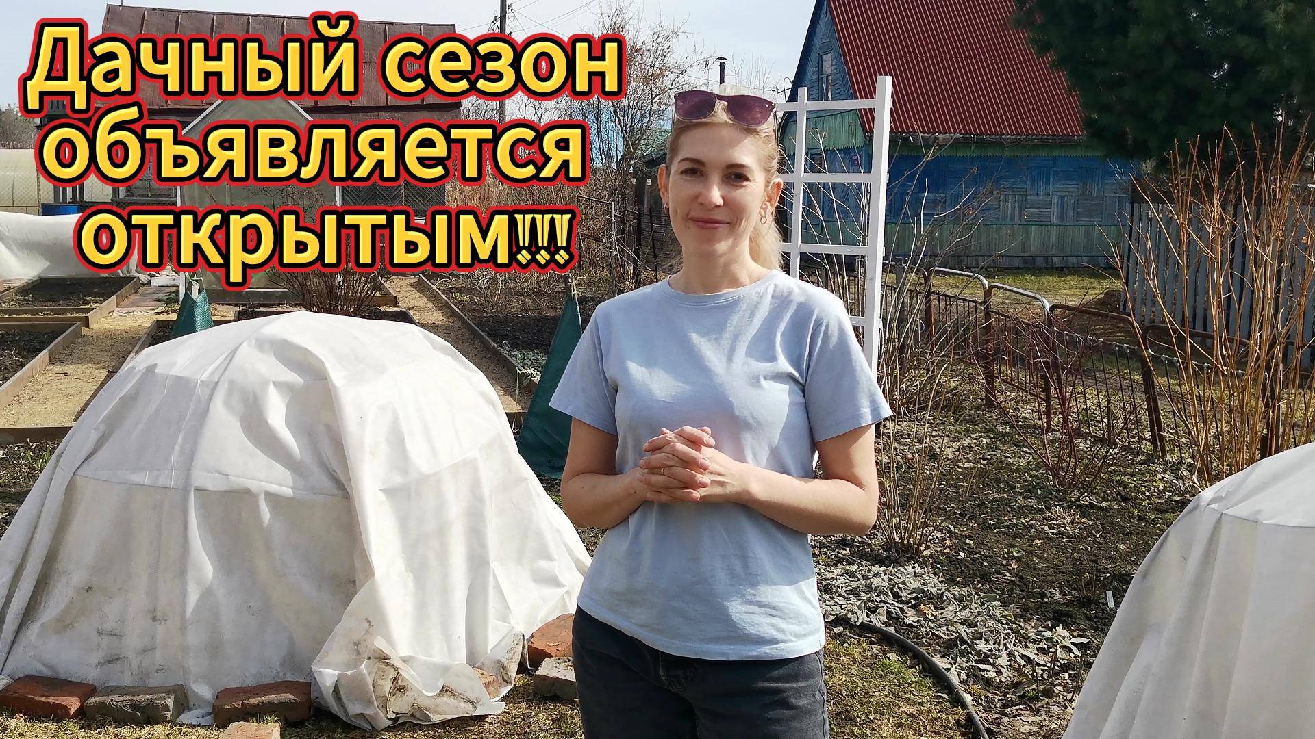 Поездка на дачу. Как перезимовали наши розы. Первые всходы капусты в теплице.