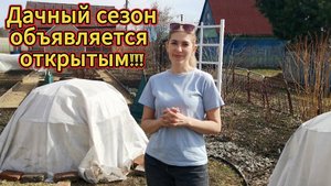 Поездка на дачу. Как перезимовали наши розы. Первые всходы капусты в теплице.
