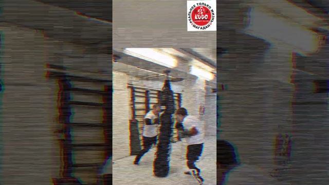 Кудо Магадан.mp4