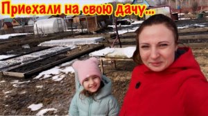 МЫ ПРИЕХАЛИ НА ДАЧУ/Я В ШОКЕ!!!/ТАКОГО Я НЕ ОЖИДАЛА УВИДЕТЬ НА СВОЕМ ДАЧНОМ УЧАСТКЕ