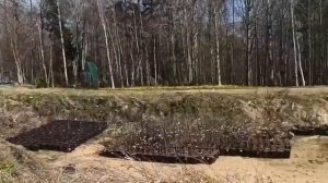 Наталья Самойленко проводит экскурсию по "Репейнику"