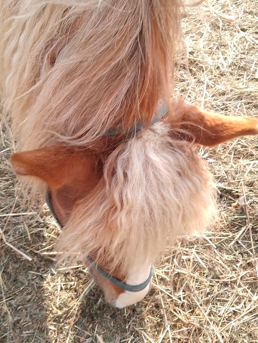 стрим обычный смотреть онлайн