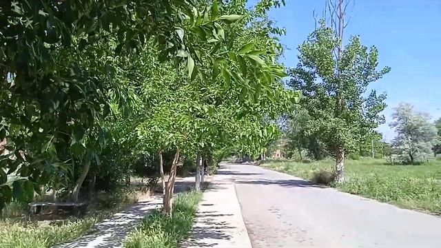 Кизляр летним днём.