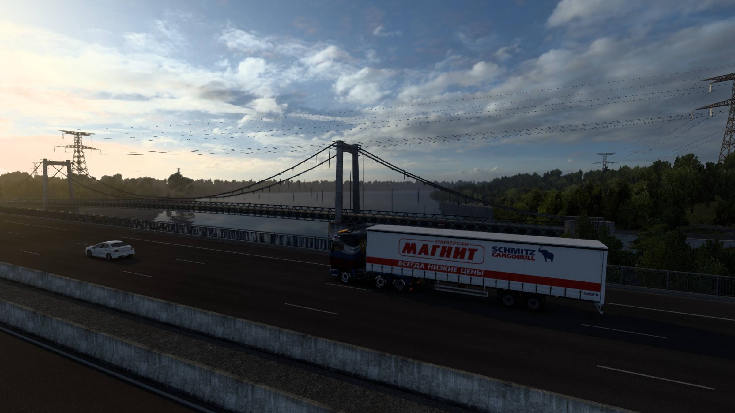 ETS 2  - Медицинская поставка в Швейцарию #98