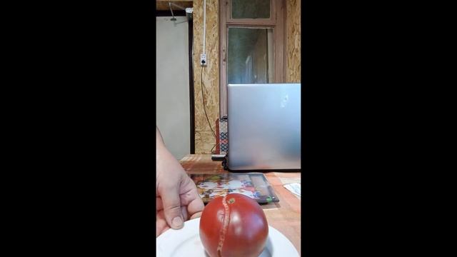 Томат Черный слон смотреть онлайн