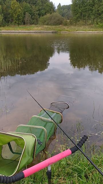 VID_20240901_081142 смотреть онлайн