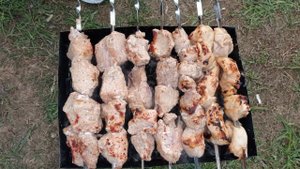 Влог : Москва / Зарядье / Шашлык у озера.