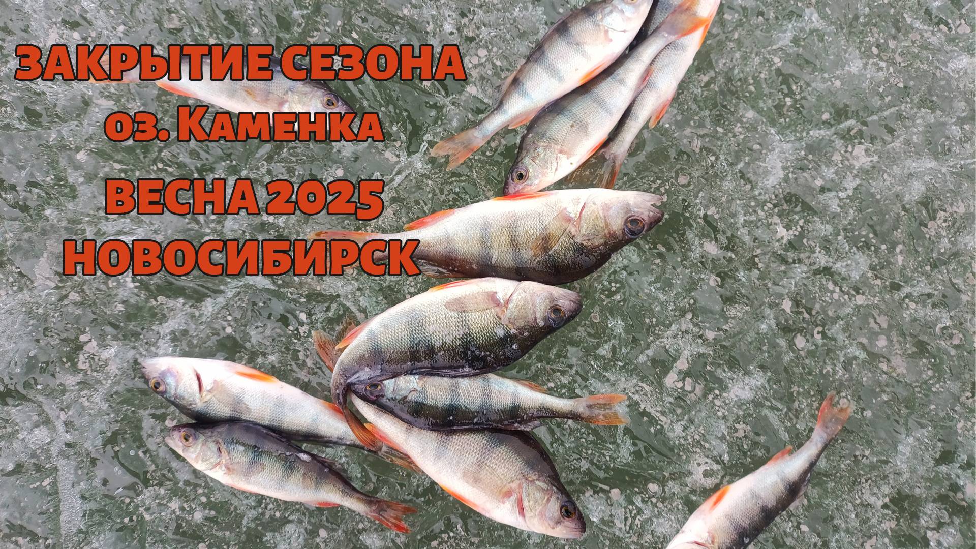 Закрытие рыболовного сезона 2025 на озере Каменка в Новосибирске