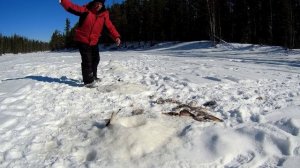 Разведка и рыбалка на Хантейском ручье. ЯМАЛ