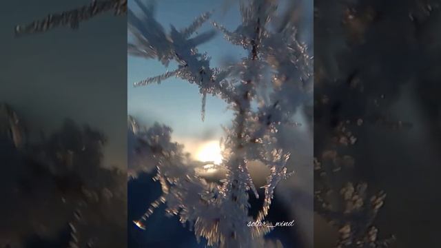 ОЧИЩЕНИЕ ОТ НЕГАТИВНЫХ ЧУВСТВ ✨#сеанс #практика музыка: Элан