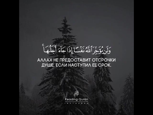 Послушайте КОРАН 754