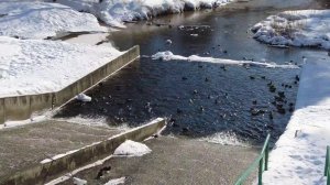 парк 1905 года #иваново 06.03.2021